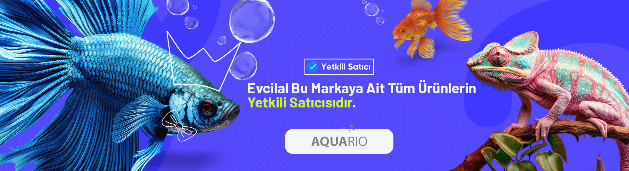 aquario akvaryum ürünleri
