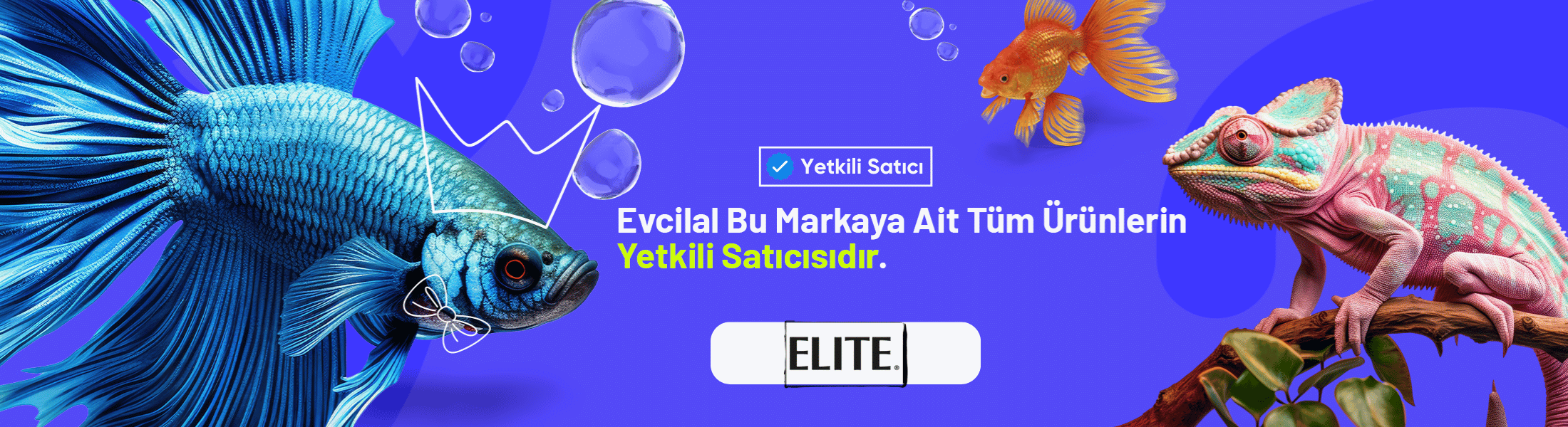 Hagen Elite akvaryum ürünleri