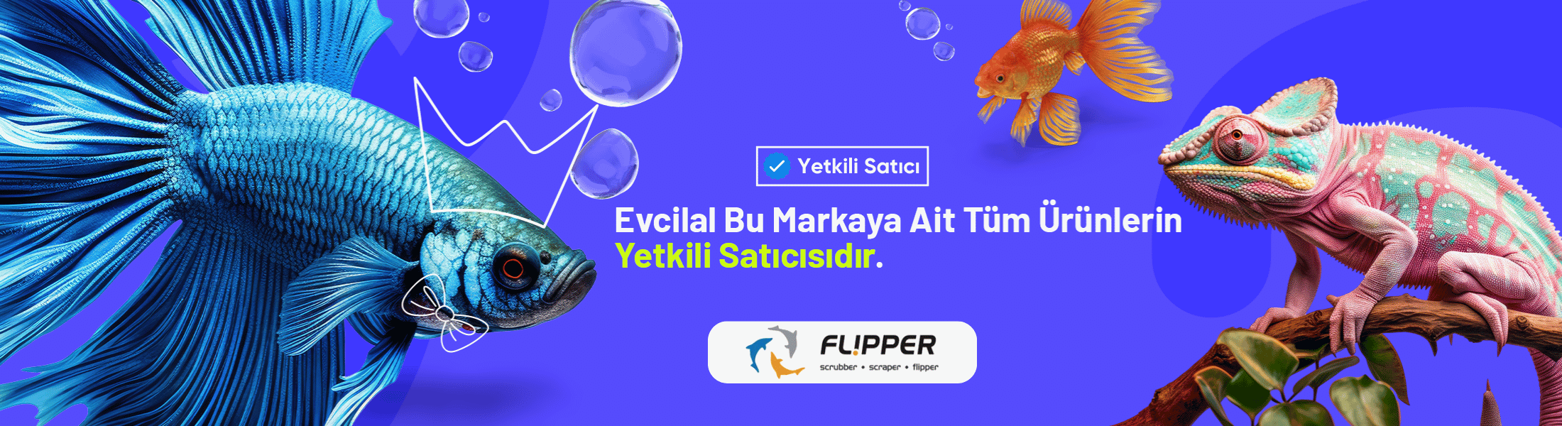 Flipper akvaryum ürünleri